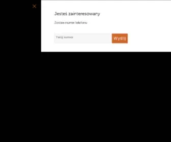 SYnteco.pl(Software house) Screenshot