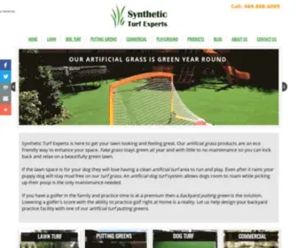 SYNtheticturfexperts.com(Synthetic Turf Experts) Screenshot