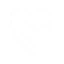 SYstemGuards.com.ec Favicon