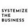 SYstemizethebusiness.com Favicon