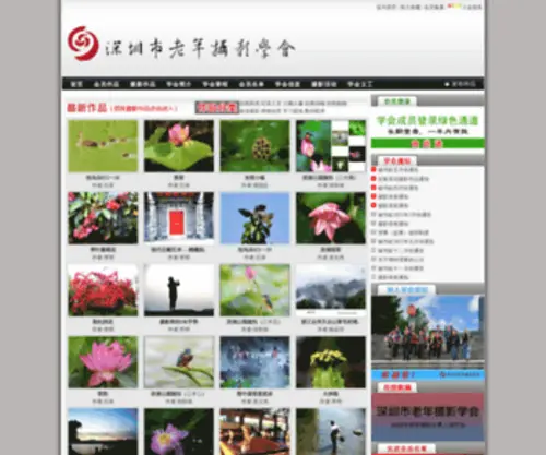 SZLNphoto.net(SZLNphoto) Screenshot