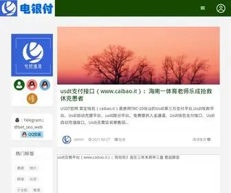 SzpabXw.cn(电银付) Screenshot