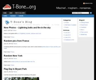 T-Bone.org(Mischief) Screenshot