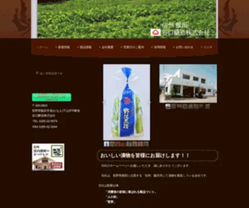 T-Jozo.com(信州飯田) Screenshot