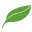 T-Landscape.jp Favicon
