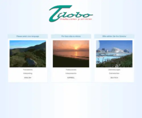 T-Lindenmaier.com(TILOBO traducciones y servicios TILOBO) Screenshot