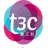 T3C.com.cn Logo