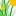 T69Y.net Favicon