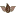 Tabak-Welt.de Favicon