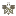 Tabakiera.com.pl Favicon