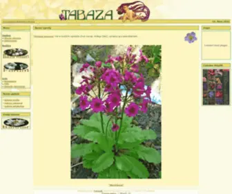 Tabaza.info(Baza roslin ozdobnych) Screenshot