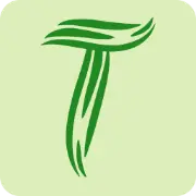 Taboostars.pro Favicon