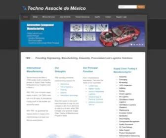 Tademex.com(San Diego Supply Chain Management) Screenshot