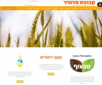 Tadmir.co.il(בית) Screenshot