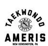 Taekwondo-Ameris.com Favicon