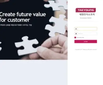 Taeyoung.co.kr(태영) Screenshot