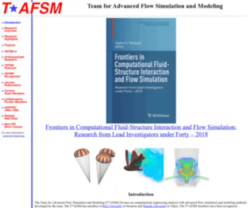 Tafsm.org(Team for advanced flow simulation and modeling) Screenshot