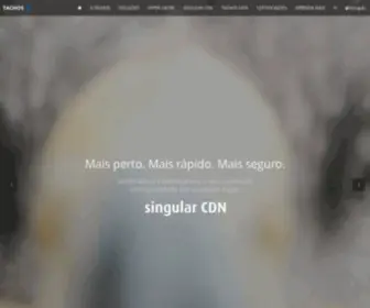 Taghos.com.br(Cache) Screenshot
