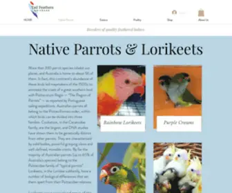 Tailfeathersbrisbane.com(Native Parrots) Screenshot