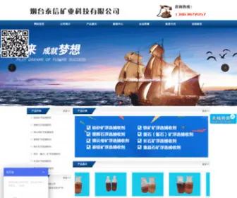 Taixinkuangye.com(烟台泰信矿业科技有限公司) Screenshot