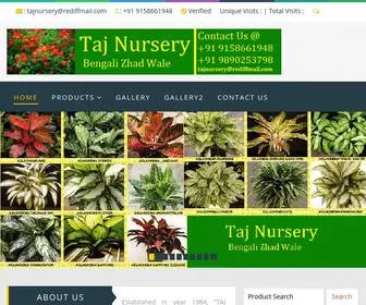 TajNursery.com(Taj Nursery) Screenshot