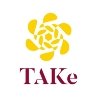 Takebrandconsulting.com Logo