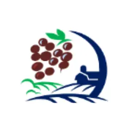 Talencieux.fr Favicon