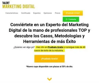 Talentmarketingdigital.com(Talent Master en Marketing Digital en Video) Screenshot