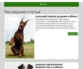 Talepdog.ru(Сайт) Screenshot