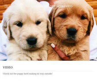 Tallanthillgoldenretrievers.com(Tallant Hill Golden Retrievers) Screenshot