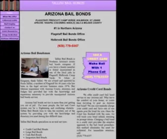 Tallinibailbonds.com(Tallini Bail Bonds) Screenshot