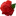 Tamararozi.ru Favicon