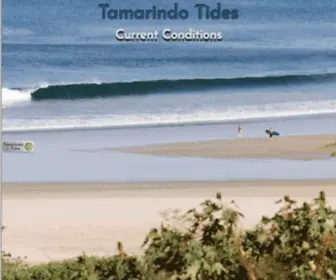 Tamarindotides.com(Tamarindo Tides) Screenshot