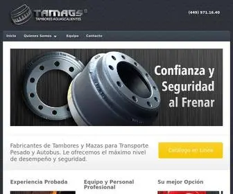 Tamboresaguascalientes.com(Tambores de Aguascalientes) Screenshot