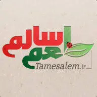 Tamesalem.ir Favicon