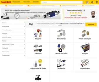 Tameson.nl(Uw online Fluid Control specialist) Screenshot