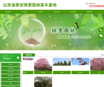 Tammw.com(山东樱花) Screenshot