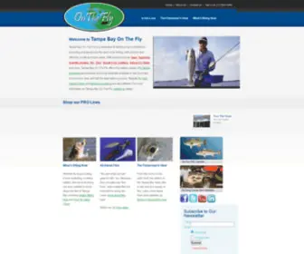 Tampabayonthefly.com(Tampa Bay On The Fly) Screenshot