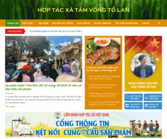 Tamvongdahte.vn(Tamvongdahte) Screenshot