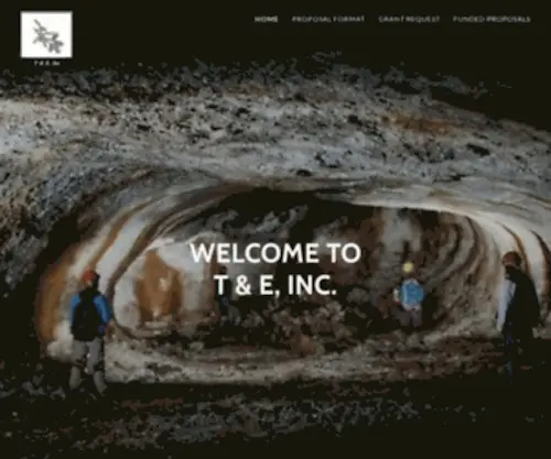 Tandeinc.com(T & E) Screenshot