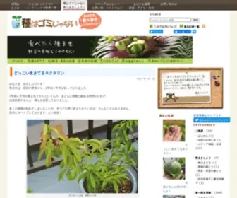 Tanegomi.com(種はゴミじゃない) Screenshot