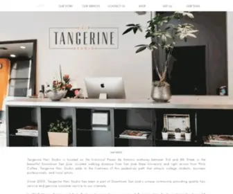 Tangerinehairstudio.com(Tangerine Hair Studio) Screenshot