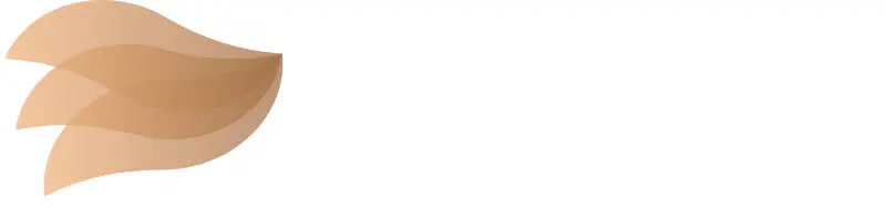 Taniasanvicente.com Favicon
