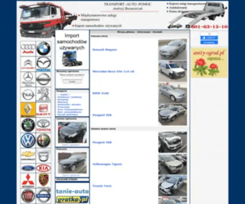 Tanie-Auto.com.pl(Tanie auto) Screenshot