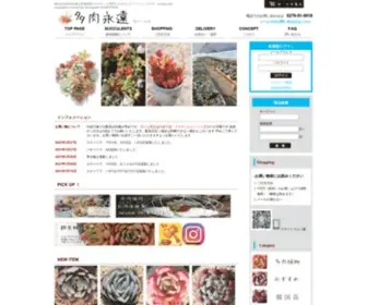 Tanikutoha.jp(韓国苗通販) Screenshot