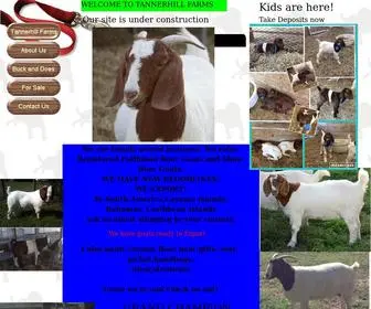 Tannerhillfarms.com(Florida Boer goats for sale) Screenshot