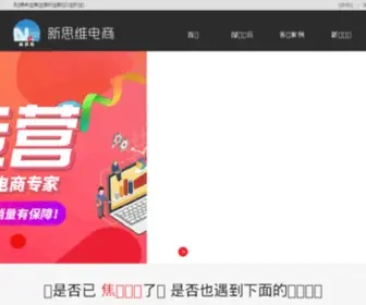 Taobaoserve.com(新思维电商) Screenshot