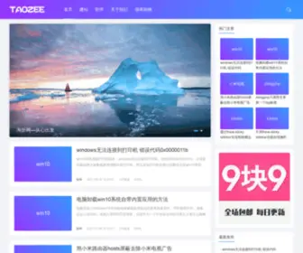 Taozee.com(TAOZEE-IT技术博客) Screenshot