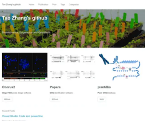 Taozhang.org(Tao Zhang’s github) Screenshot