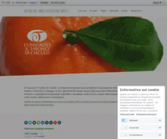 Tardivodiciaculli.net(Consorzio il Tardivo di CIaculli) Screenshot